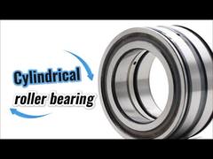 SL045010-D-PP بلبرینگ رولبرینگ استوانه ای SL045010PP با ردیف دوتایی و پر