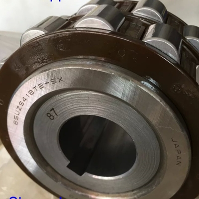 65UZS418T2X-SX-87 استوانه ای با رول های استوانه ای با بش 65UZS418 استوانه ای با قفس نایلون