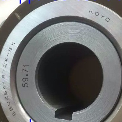 65UZS418T2X-SX-87 استوانه ای با رول های استوانه ای با بش 65UZS418 استوانه ای با قفس نایلون