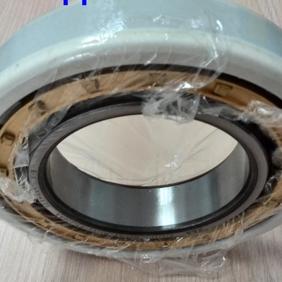 NU320ECM / C3VL0241 محموله های رولر سیلندری با پوشش برقی 100x215x47mm